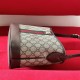 Gucci Ophidia