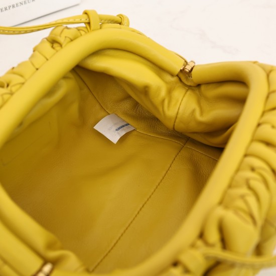 Bottega Veneta Pouch