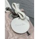Dior Lady