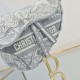 Dior Saddle