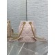 Dior Caro