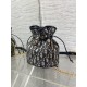 Dior Caro