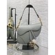 Dior Saddle