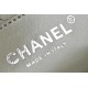 CHANEL 22 Bag