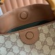Gucci Diana