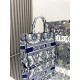 Dior Book Tote