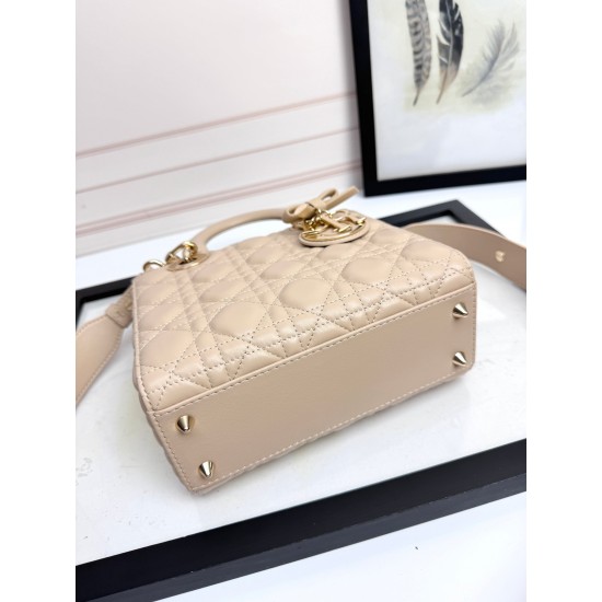 Dior Lady