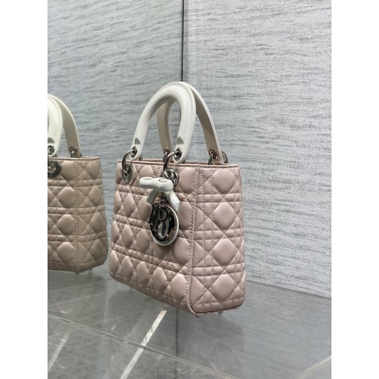 Dior Lady