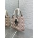 Dior Lady