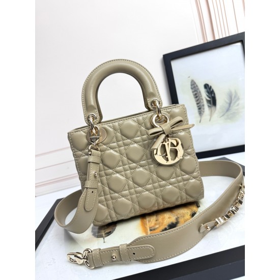 Dior Lady
