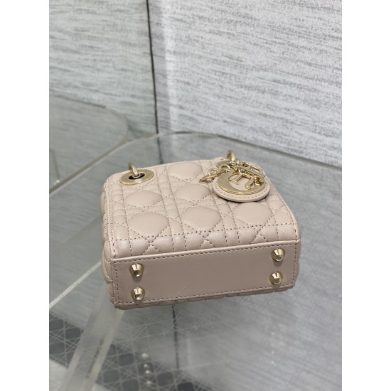 Dior Lady