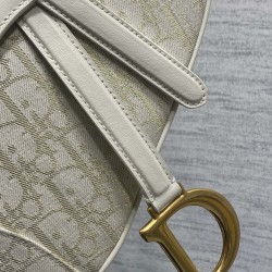 Dior Saddle