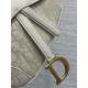 Dior Saddle