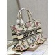 Dior Book Tote