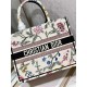 Dior Book Tote