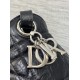 Dior Caro