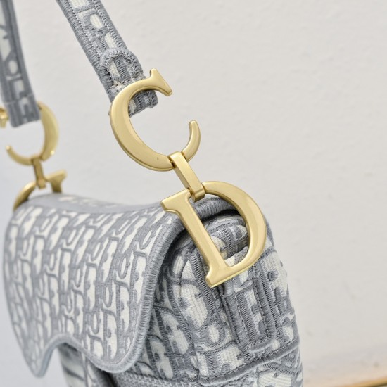 Dior Saddle