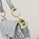 Dior Saddle
