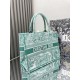 Dior Book Tote