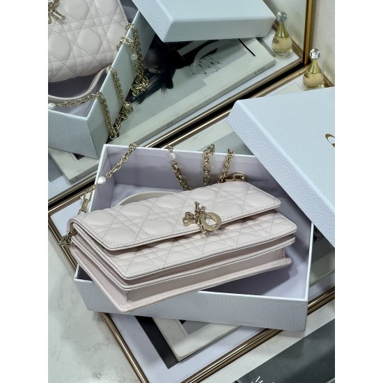 Dior Lady