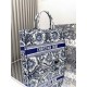 Dior Book Tote