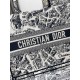 Dior Book Tote