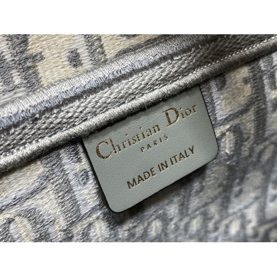 Dior Saddle
