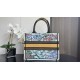 Dior Book Tote