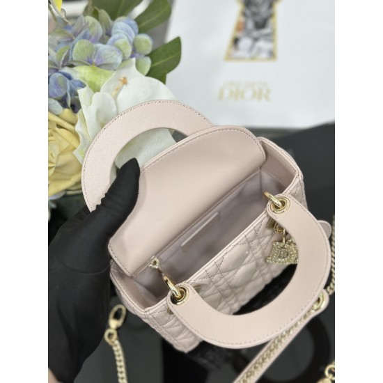 Dior Lady