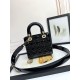 Dior Lady