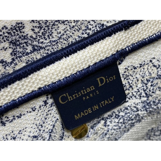 Dior Saddle