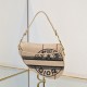 Dior Saddle