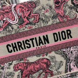 Dior Book Tote