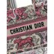 Dior Book Tote
