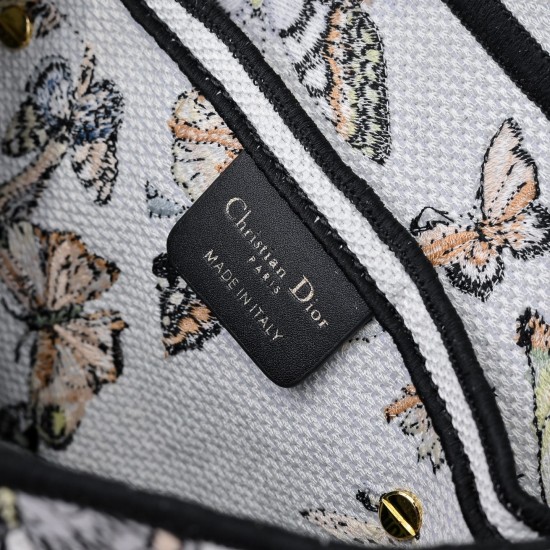 Dior Saddle