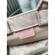 Dior Book Tote