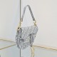 Dior Saddle