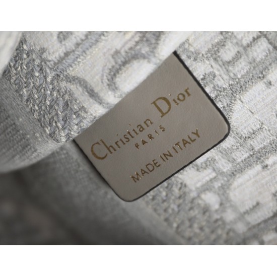 Dior Book Tote