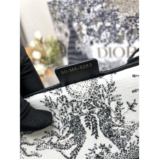 Dior Book Tote