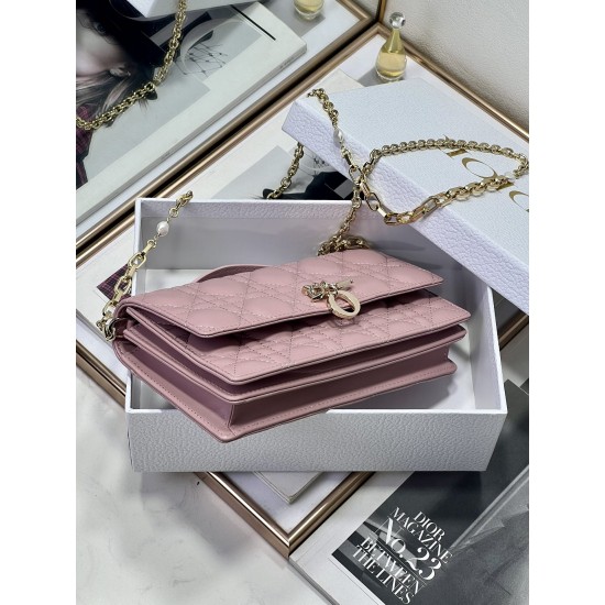 Dior Lady