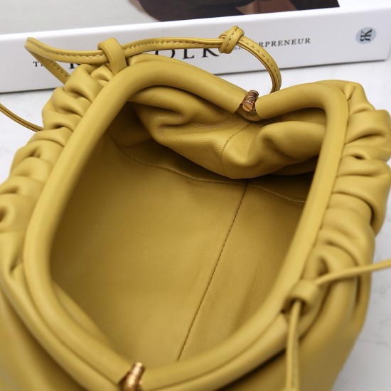 Bottega Veneta Pouch