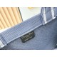Dior Book Tote