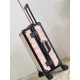 Dior Suitcase