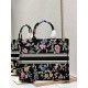 Dior Book Tote