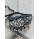 Dior Saddle