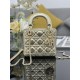 Dior Lady