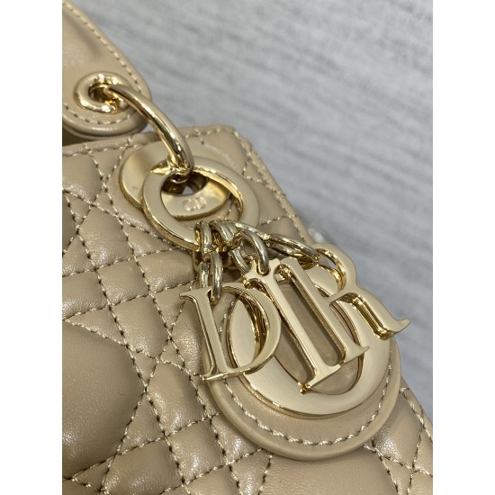 Dior Lady