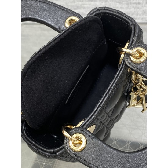Dior Lady