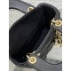 Dior Lady