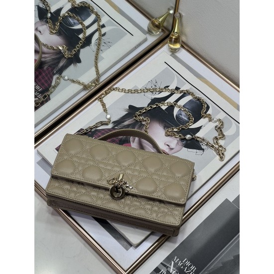 Dior Lady
